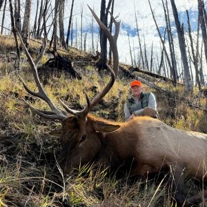 Sns Wilderness Bull Elk Wyoming 2025 8